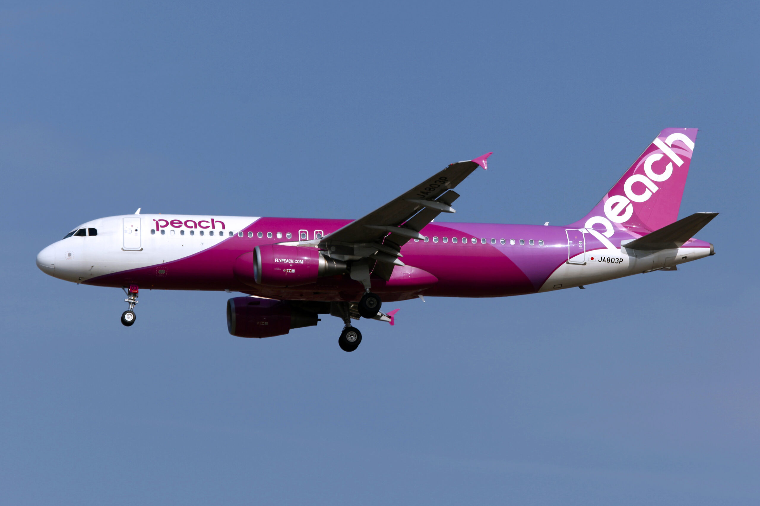 Peach Aviationのピンク塗装のエアバスA320型機